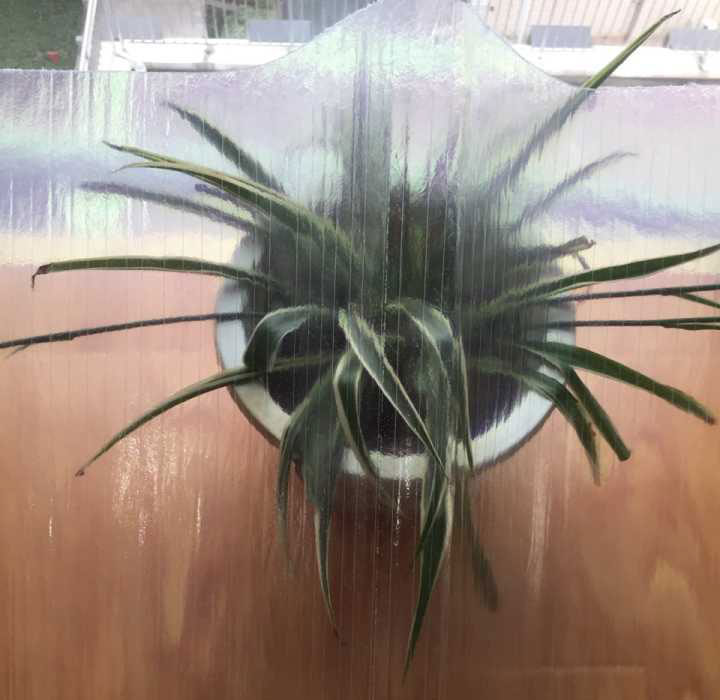 产品案例